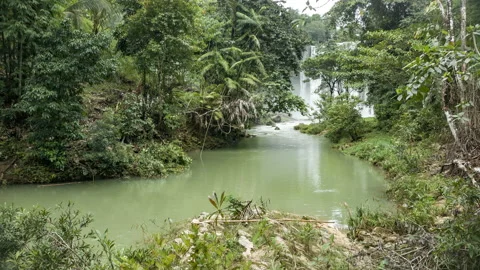 River deep in jungle mountain forest. Nature composition. Stock Footage 117876658