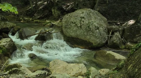 River deep in mountain forest. Nature composition. Stock Footage 48060752