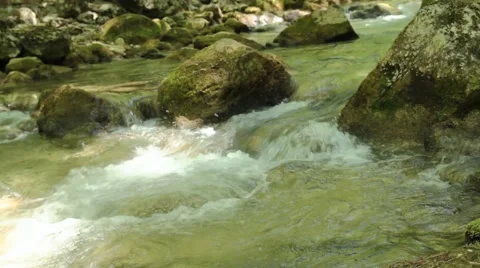 River deep in mountain forest. Nature composition. Stock Footage 48060863