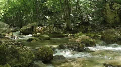 River deep in mountain forest. Nature composition. Stock Footage 48060982