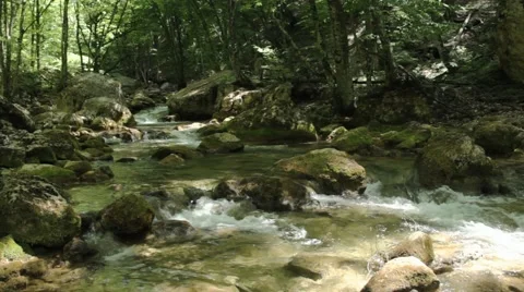 River deep in mountain forest. Nature composition. Stock Footage 48061072