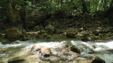 River deep in mountain forest. Nature composition. Stock Footage 48061251