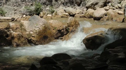 River deep in mountain forest. Nature composition. Stock Footage 48061828