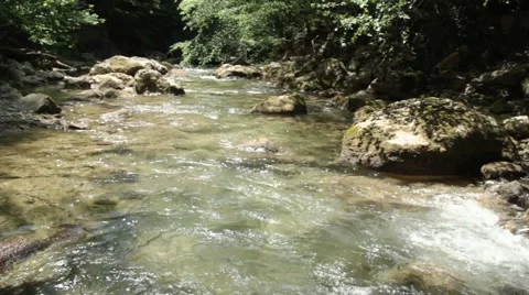 River deep in mountain forest. Nature composition. Stock Footage 48061922