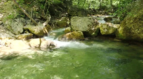 River deep in mountain forest. Nature composition. Stock Footage 48062618