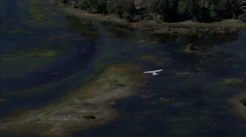 River Delta Airplane Stock Footage 39891563