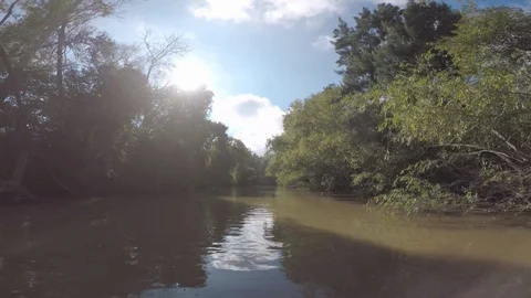 River Delta by Boat Video stock 96007331