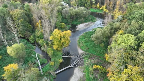 River delta floodplain autumn fall color meander drone aerial inland video shot Stock Footage 262194654