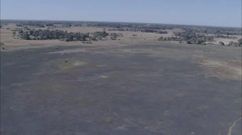 River Delta Stock Footage 39886597