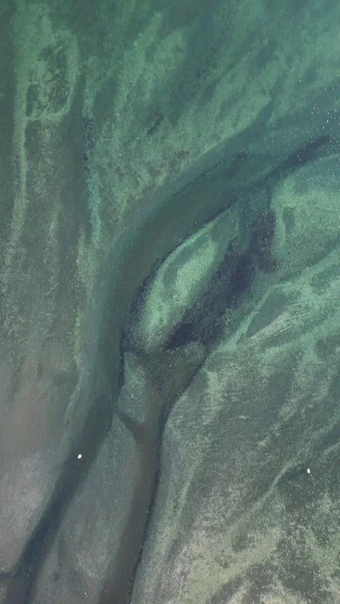 River delta 動画素材 276851610