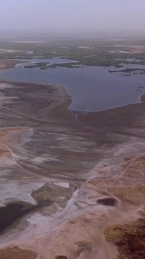 River delta with mix of water, sandy, salty and tree areas Video stock 230679502