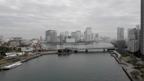 River delta skyline 動画素材 227047794