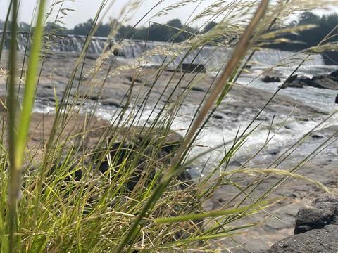 River dem Stock Photos