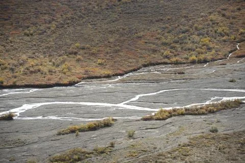 River in denali Stock Photos