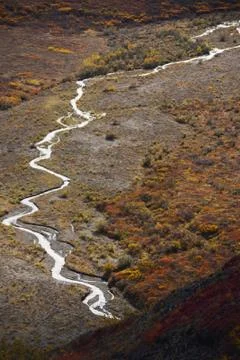 River in denali Stock Photos