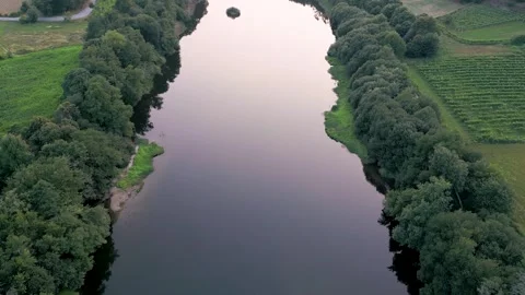 River With Dense Vegetation In Countryside Landscape. Aerial Stockbeeldmateriaal 246745023
