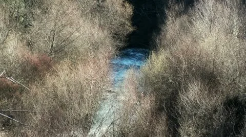 River in dense vegetation during summer 库存影片 21322684