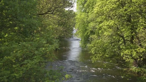 River Derwent in Baslow during spring, Derbyshire, England Stock Footage 242010937