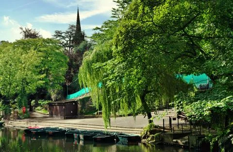 River Derwent with trees Stock Photos
