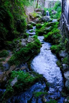River descends through vegetation Stock Photos