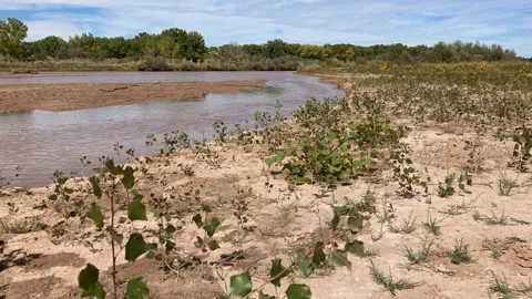 River in Desert Stock Footage 247067774