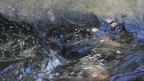 River detail Stock Footage 99117707