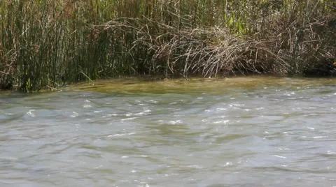 The river. Detail a river course, clear and pure water Stock Footage 34473129