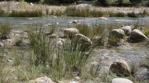 The river. Detail a river course, clear and pure water Stock Footage 34474733