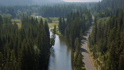 River diverges from road in forest and mountains Stock Footage 135952491
