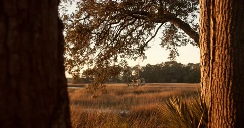 River Dock House in between the trees; Wilmington Island, Ga Stock Footage 168736787