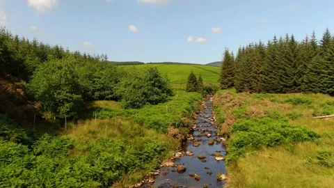 The River Dodder in the Wicklow mountains. Stock Footage 161812730