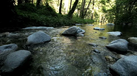 River Dolly Stock Footage 4586118