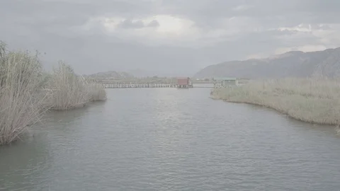 River With Dolly Shot Stock Footage 125872114