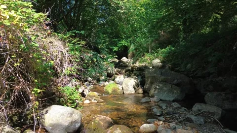 River dolly shot Stock Footage 249188997