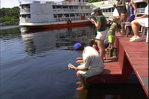 River Dolphins & Tourists Stock Footage