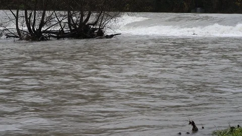 The river Dora has swollen after the rains of November 2019 (Turin, Italy) Stock Footage 120408043