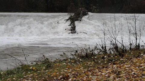 The river Dora has swollen after the rains of November 2019 (Turin, Italy) Stock Footage 120408063