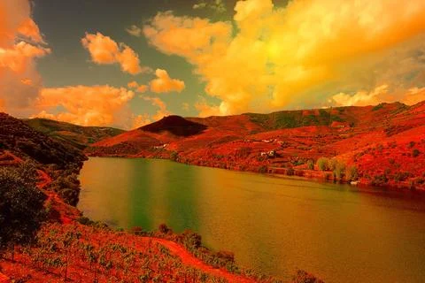 River Douro Vineyards in the Valley of the River Douro, Portugal, at Sunse... Stock Photos