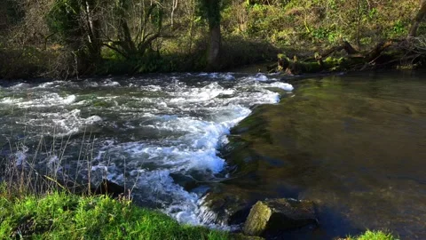 The River Dove, in Dovedale. Stock Footage 321472984