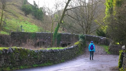 The River Dove Stock Footage 321471342