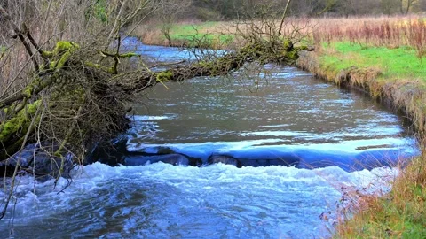 The River Dove, in October, 2024. Stock Footage 321472970