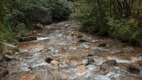 River Down stream Stock Footage 114262726