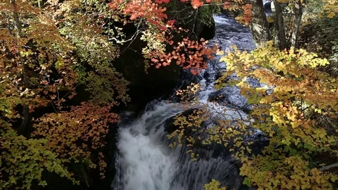 River from Dragon Head Waterfalls Stock Footage 71006837