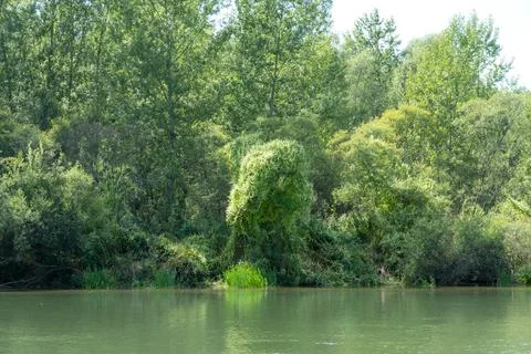By the river Drava Stock Photos