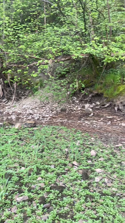 The river dries up once a year and becomes waterless 動画素材 314783820