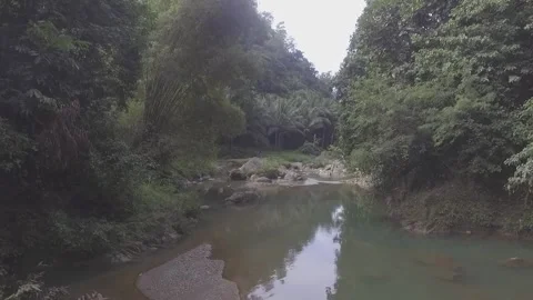 River Drone Shot Stock Footage 185918176