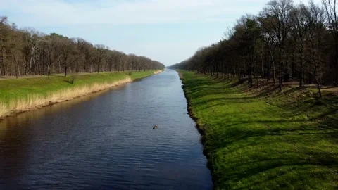 River drone water birds trees Stock Footage 150975232