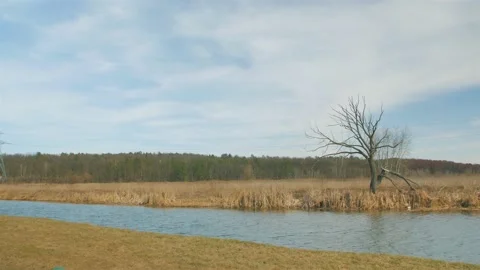 River Dry Tree Landscape Stock Footage 151571205