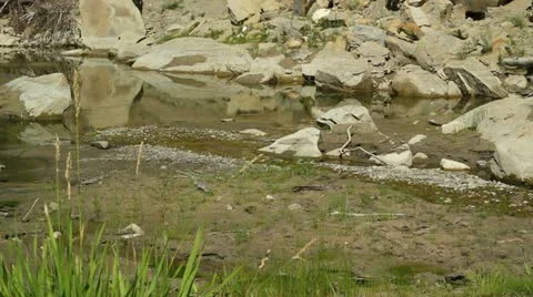 River drying up from drought Stock Footage 11727387