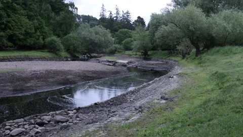 River drying out in summer Stock Footage 198595994